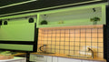 Ram Promaster 159